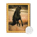 Tablou pe numere Art Gallery GA80139 Mozaic cu diamante 40x50cm Cal negru in camp