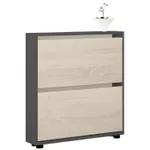 Raft pentru încălțăminte Mobildor-Lux Leo Slim 50x16x86H cm Anthracite/Sonoma