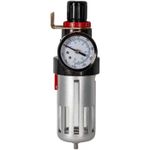 Компрессор Profmet 815162 Filtru cu reducator si manometru 1/4