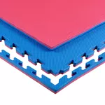 Tatami mat Eva Puzzle 1x1 m, 2 cm, 80 kg/m3 inSPORTline Sazegul 25874-2 red-blue (10247)