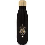 Sticlă apă Pyramid International MDB27748 Harry Potter Quidditch Snitch