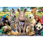 Puzzle Educa 15908 300 ItS A Class Photo