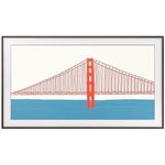 Аксессуар для телевизора Samsung VG-SCFA50BWBRU