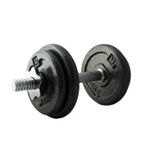 Гантель LiveUp LS2311/10/GY 10kg