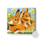 Картина по номерам Art Gallery BJ681 Mozaic cu diamante 20x20cm Iepurasi printre narcisi