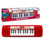 Jucărie muzicală Bontempi 122408 Электронный синтезатор с 24 клавишами