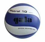 Мяч волейбольный Gala Mistral 10 panels 5661 (139)
