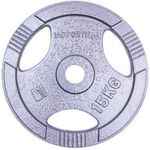 Гантель inSPORTline 1177 Disc d=30 mm metal 15 kg Hamerton 12712