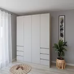 Dulap Smartex (15925) N17 160cm St.Deschis+Kashemir