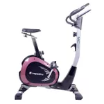 Bicicleta fitness inSPORTline Klegan 11188 (2891)