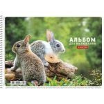 Альбом для рисования 20 л 120 гр