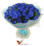 31 trandafir albastrii Ecuador 70-80cm