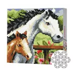 Картина по номерам Art Gallery BJ483 Mozaic cu diamante 20x20cm Cal si manz