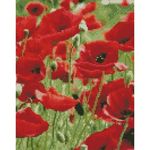 Картина по номерам Strateg HX462 Алмазная мозайка Маковое поле 40x50
