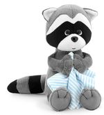 Мягкая игрушка Orange Toys OS616/20 Denny the Raccoon with towel 20cm