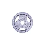 Disc din metal cu maneri 5 kg, d=30 mm inSPORTline Hamerton 12710 (701)