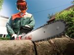 Fierăstrău cu lanţ electric AL-KO EKS 2400 (112808)