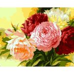 Tablou pe numere Richi (03383) Buchet de bujori 40x50