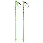 Лыжные палки Elan Rock Rod JR green 095 (CD813121)