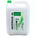 Antigel Blizzard (66440) G11 (-24) 8,20 kg (verde)