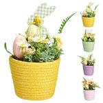 Decor Promstore 49026 Suvenir Compozitie pascala in ghiveci, 12x20cm