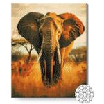 Картина по номерам Art Gallery GA87377 Mozaic cu diamante 40x50cm Elefant in savana