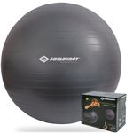 Minge Donic SL-00013825 Minge gimnastica cu pompa d=85cm Schildkrot 960158