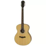 Chitară Fiesta Aria FST-F65 N
