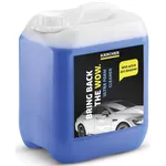 Средство для ухода за авто Karcher 6.296-173.0 Detergent spumă 3 în 1 Ultra RM 527