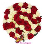Букет из 51  красных белых эквадорских роз  50-60 см