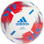 Мяч Adidas J290 CZ9574 R.5
