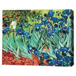 Картина по номерам BrushMe RBS51339FC 30x40сm (fără cutie) Iriși. Vincent van Gogh