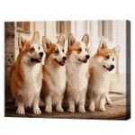 Картина по номерам Art Gallery GX41467 40x50cm Eco, Corgi draguti