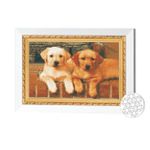 Картина по номерам Art Gallery JS24690 Mozaic cu diamante 20x30cm Catelusi Labrador