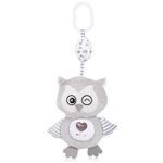 Jucărie cu pandantiv Chipolino Owl PIKL02502OWL плюш муз