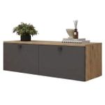 Тумба напольная для TV Mobildor-Lux ZEN (140x35x38H cm) Sonoma/Anthracite
