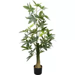 Декор Deco Arbore Pachira Glabra