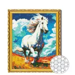 Картина по номерам Art Gallery GB86814 Mozaic cu diamante 30x40cm Cal alb
