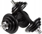 Гантель Zipro Iron Dumbbell Set 2x10kg