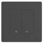 Выключатель электрический Moes ZT-SR-EU2-GY-MS