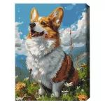 Tablou pe numere BrushMe BS53943FC 40x50cm (fără cutie) Corgi colorat