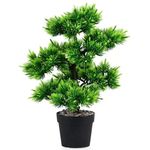 Decor Cilgin Copac artificial CLG143SYH Pine 34cm