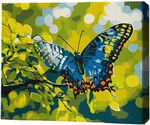 Tablou pe numere BrushMe RMG0018FC 30x40сm (fără cutie) Zbor de culoare