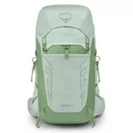 Туристический рюкзак Osprey Tempest 33 Frosty Mint Green/Botanica (810145592380)