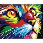 Tablou pe numere Richi (03680) Pisica colorata 40x50