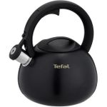 Ceainic aragaz Tefal N4180410 Duetto+ 2,5l