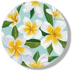 Картина по номерам BrushMe RC00046FC (fără cutie) Plumeria