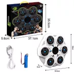 Articol de box Richi (43453) Set pentru box pe baterii