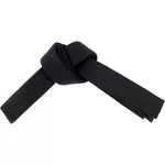 Îmbrăcăminte sport Arena 18050BK centură karate