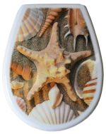 Capac WC Bisk 80379 LILIA (foto Scoici mari)